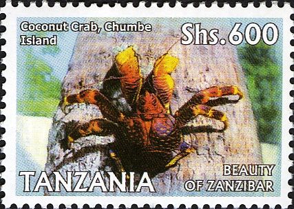 Coconut Crab (Birgus latro) at Chumbe Island