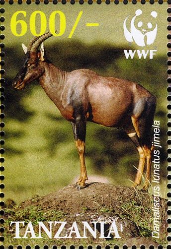 Topi (Damaliscus lunatus jimela)