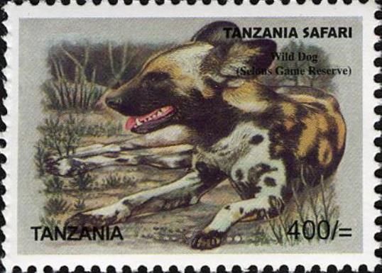 African Wild Dog (Lycaon pictus)