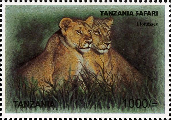 Lion (Panthera leo) - Females