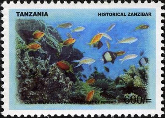 Coral Reefs Diving Paradise west of Pemba