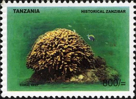 Coral reef
