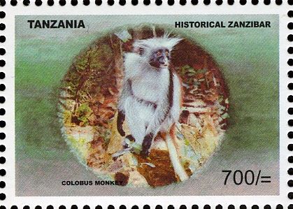 Zanzibar Red Colobus (Piliocolobus kirkii)
