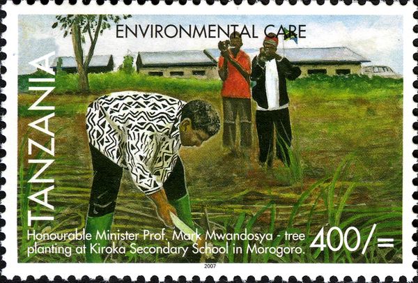 Tree planting