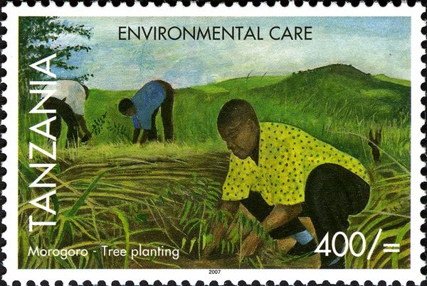 Tree Planting