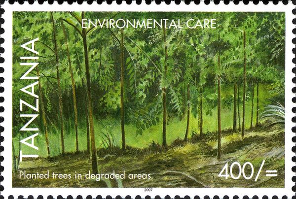 Tree Planting in degraded areas