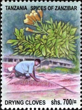Drying Cloves