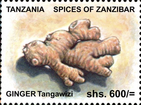 Ginger