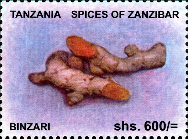 Binzari