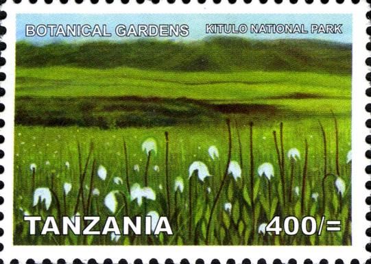 Kitulo National Park