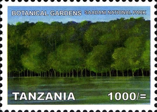Saadani National Park