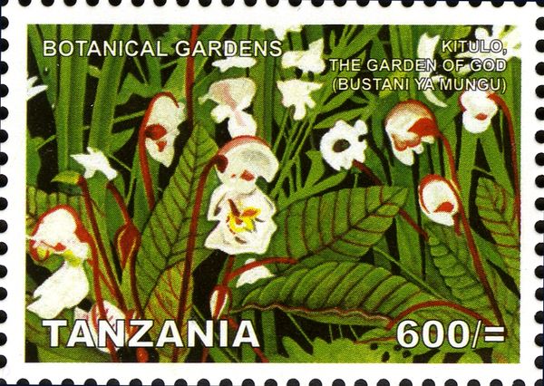 Kitulo, The Garden of God (Bustani Ya Mungu)