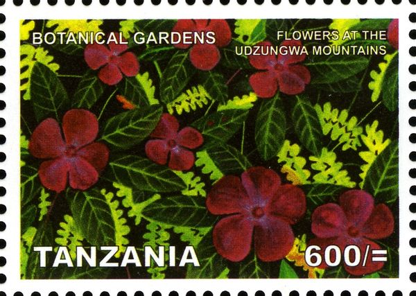 Flowers of the Udzungwa Mountains