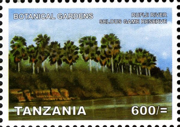Rufiji River, Selous Game Reserve