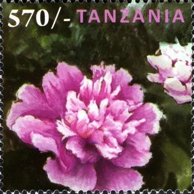 Flora (Flowers - General)