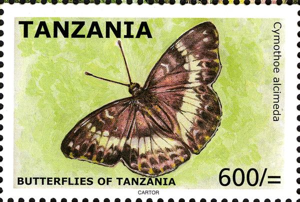 Battling Glider (Cymothoe alcimeda)