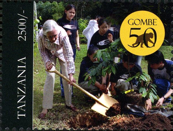 Jane Goodall