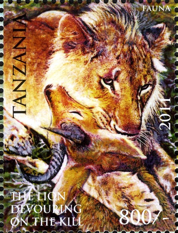 Lion (Panthera leo)