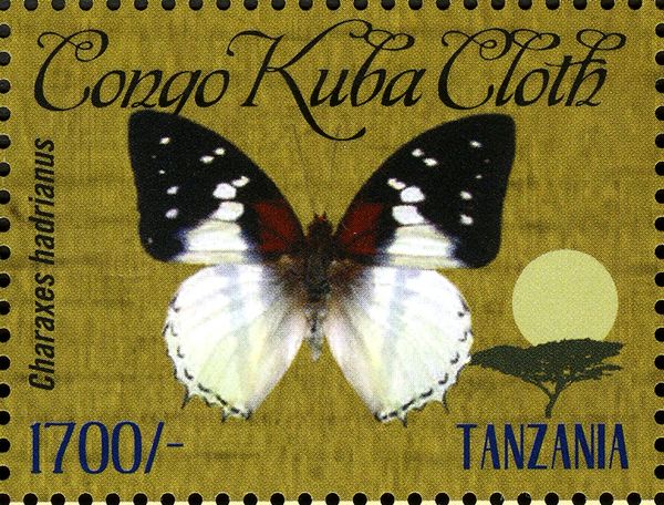 Hadrian's White Charaxes (Charaxes hadrianus)