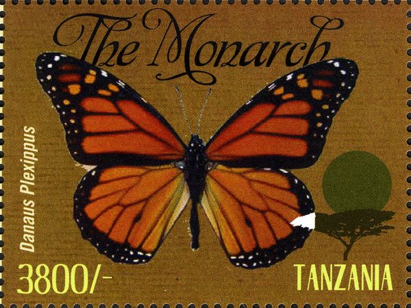Monarch (Danaus plexippus)
