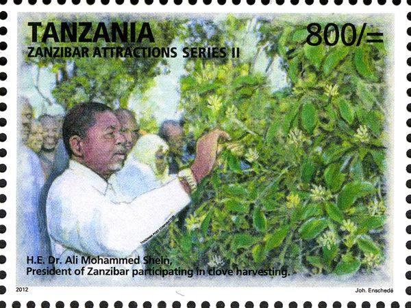 H.E. Dr Ali Mohammed Shein
