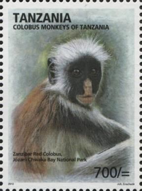 Zanzibar Red Colobus, Jozani Chwaka Bay National Park