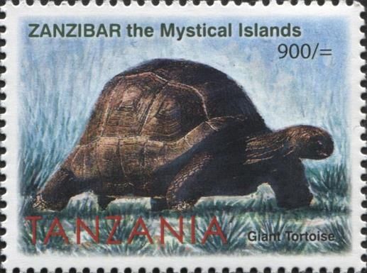 Giant Tortoise