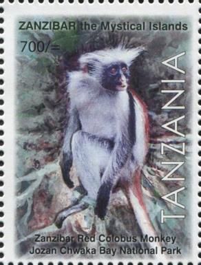 Zanzibar Red Colobus Monkey