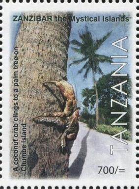 Coconut Crab