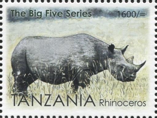 Rhinoceros (Diceros bicornis)
