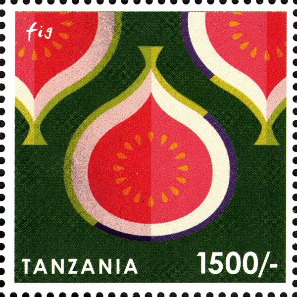 Fig