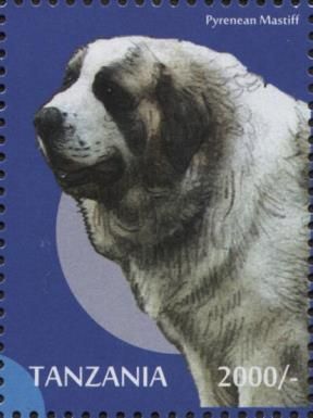 Pyrenean Mastiff