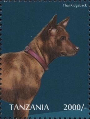 Thai Ridgeback