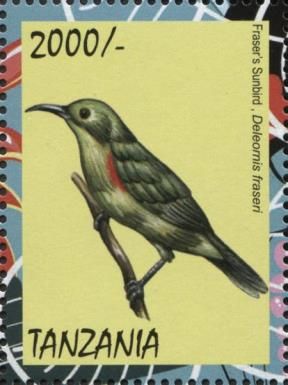 Fraser's Sunbird (Deleornis fraseri)