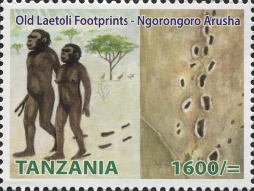 Old Laetoli Footprints - Ngorongoro Arusha