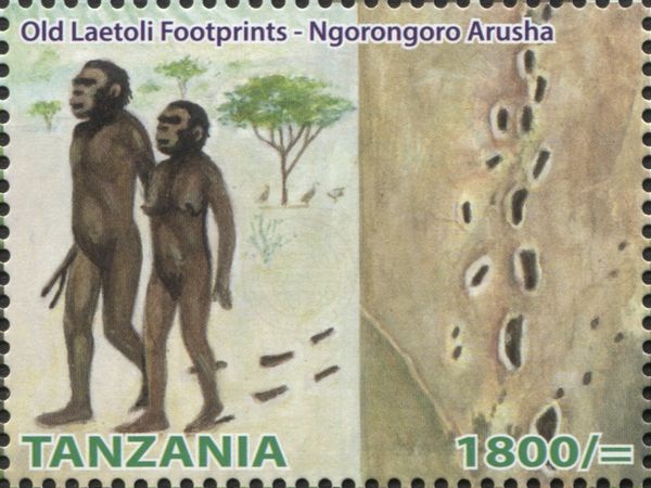 Old Laetoli Footprints - Ngorongoro Arusha