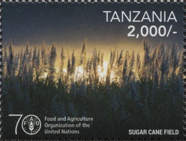 U.N. 70th anniversary food and agriculture organization