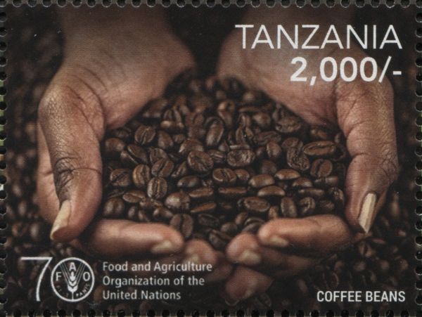 U.N. 70th anniversary food and agriculture organization