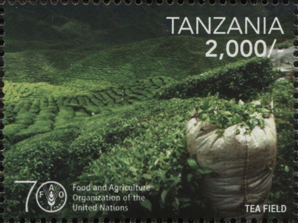 U.N. 70th Anniversary Food and Agriculture Organization