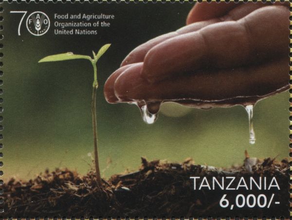 U.N. 70th anniversary food and agriculture organization