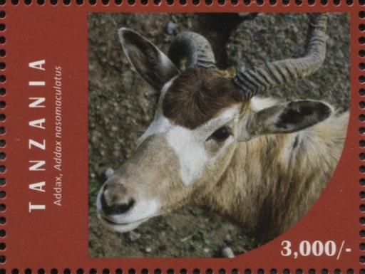 Addax (Addax nasomaculatus)