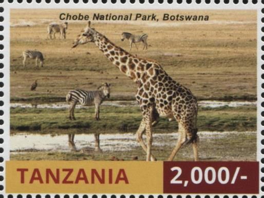 Chobe National Park, Botswana