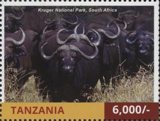 Kruger National Park, South Africa