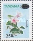 Allamanda sp.