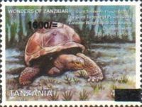 Aldabra Giant Tortoise (Aldabrachelys gigantea), Prison Is.