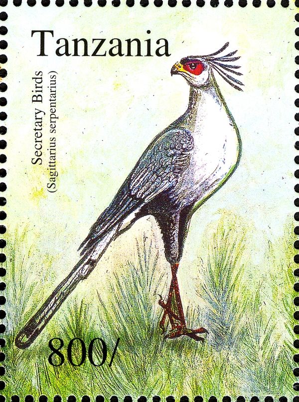 Secretarybird (Sagittarius serpentarius)