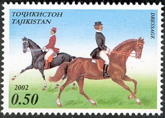 Sport - Horses
