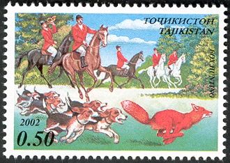 Fox Hunting