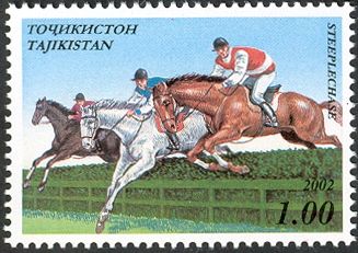 Steeplechase