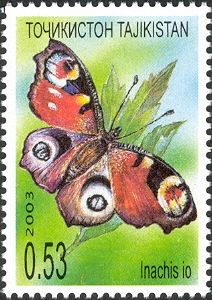 European peacock (Inachis io)